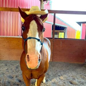 Meet your Posher, Michael